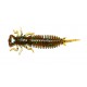 LARVA