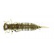 LARVA