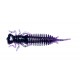 LARVA