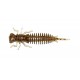 LARVA